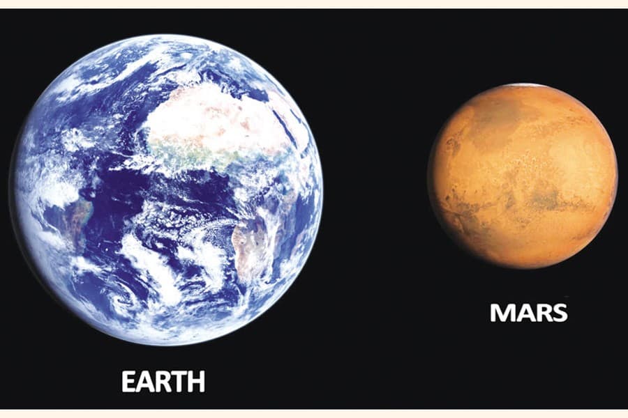 Many Variants of Life
