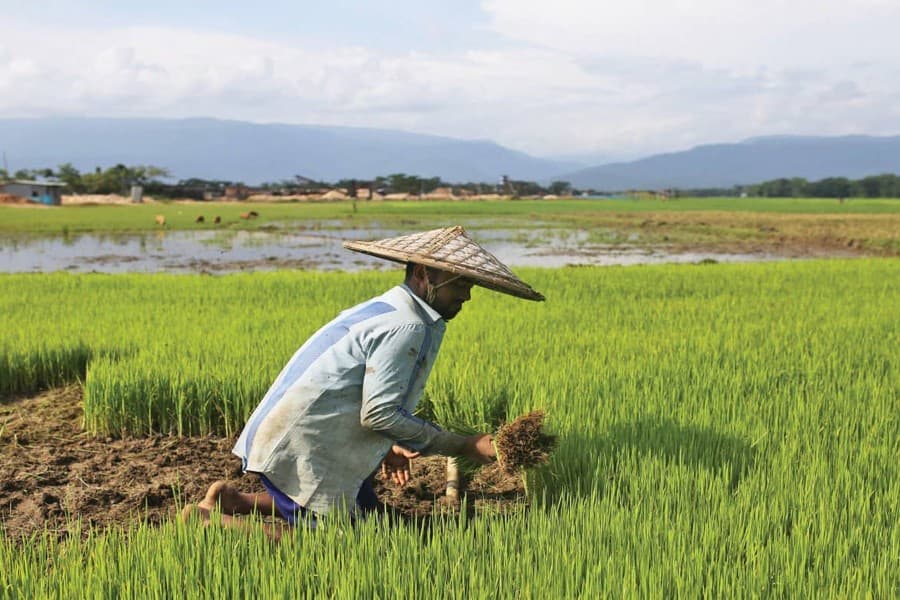 Making crop insurance a reality