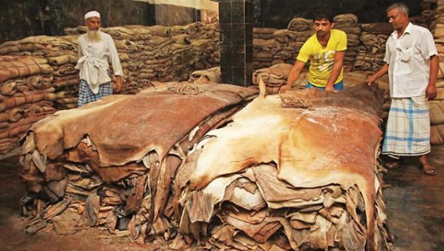 An endemic crisis in the leather industry