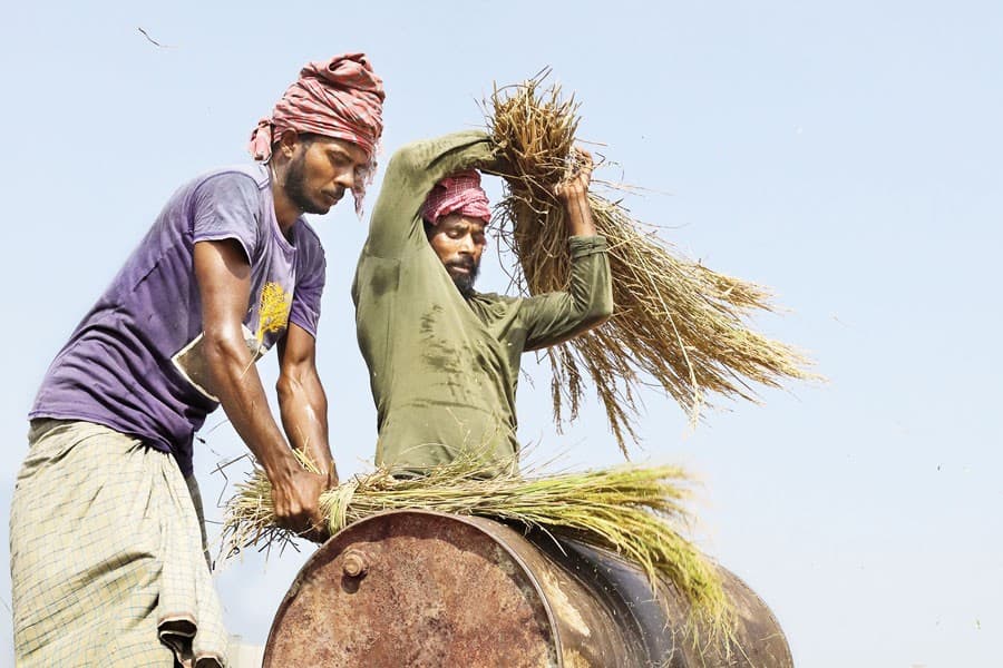 Raise budget allocations for agriculture: Experts urge government