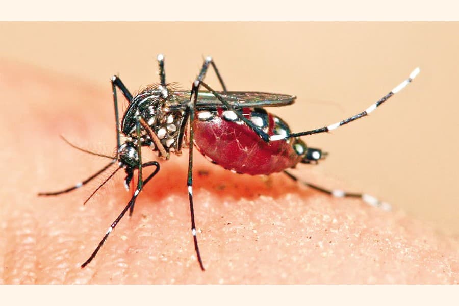 Child dies of dengue in Gazipur