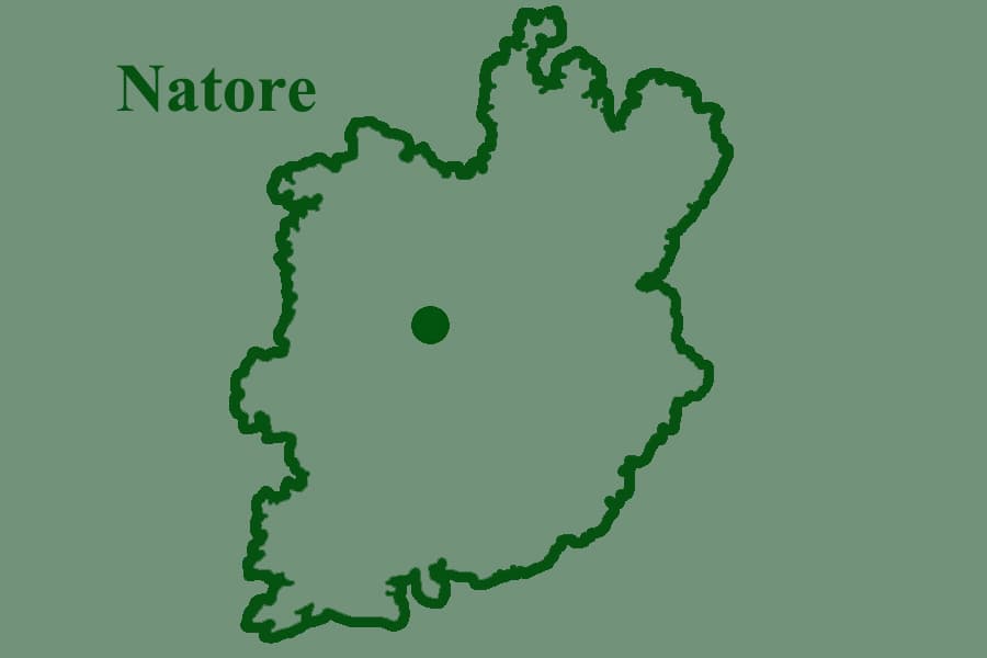 Rickshaw puller, elderly man found dead in Natore