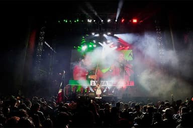 Three people die in Mexico World Cup celebrations as fans crowd streets