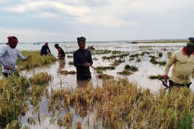 Flooding likely in Bangladesh in July-August