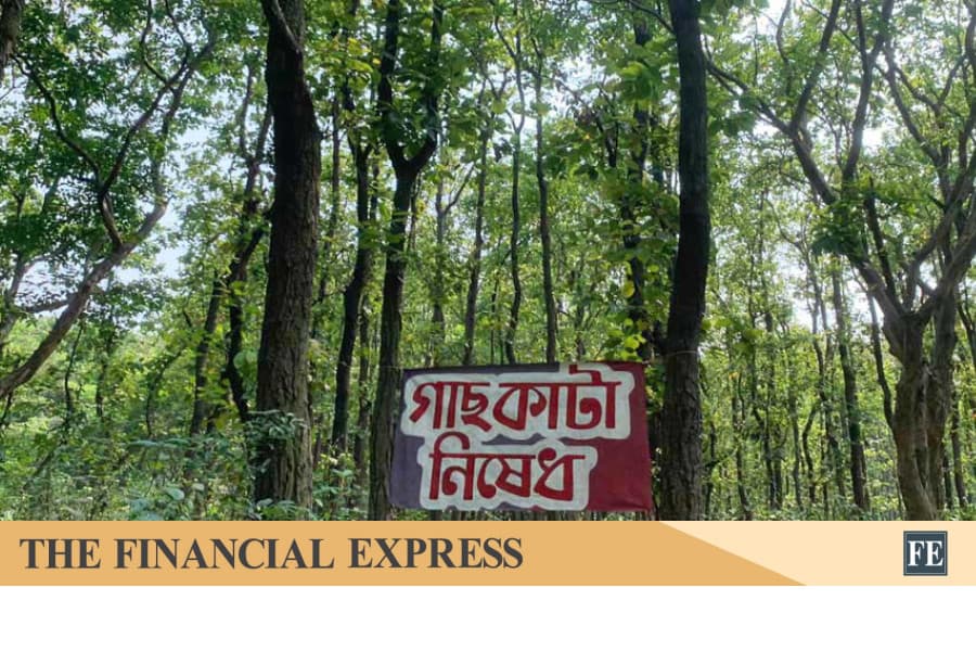 Govt to make afforestation programme digital